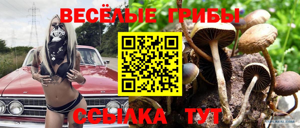 Галлюциногенные грибы прущие грибы Нижневартовск
