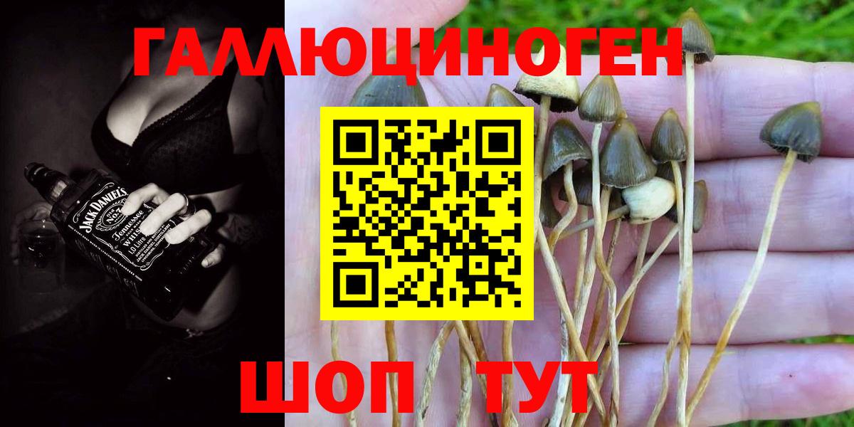 Псилоцибиновые грибы MAGIC MUSHROOMS  Вход с VPN  Галлюциногенные грибы GOLDEN TEACHER  Нижневартовск 